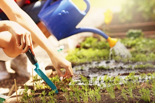 Hedge cutting service for a Shoreditch front garden and urban property