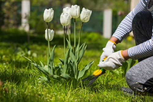 Worker safety and ethical sourcing for tree surgery services