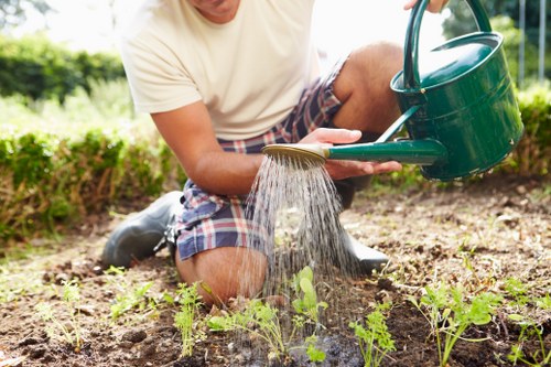 Secure Tree Surgeons Shoreditch payment process illustration