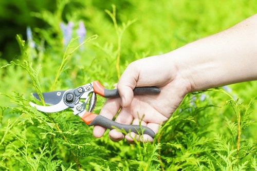 Local tree surgery crew completing safe pruning in Shoreditch