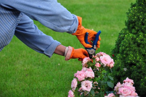 Professional tree care in a narrow East London courtyard