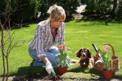 Encrypted online payment security for tree surgery services